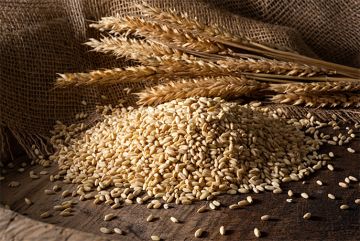 Wheat for Ashura 1 Kg