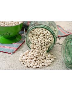 Makbul, Dermason Bean 1 Kg