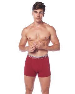 BURGUNDY BOXER