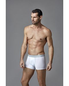 mıcro white male modal boxer