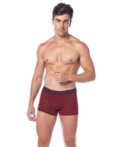 BURGUNDY BOXER