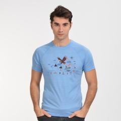 Woolnat Reglan Short Sleeve Men's T-shirt Eagle Merino