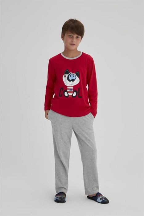 boy cat red printed cotton long sleeve pajama sets